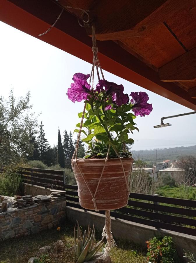Villa Achinos Akhinos 외부 사진
